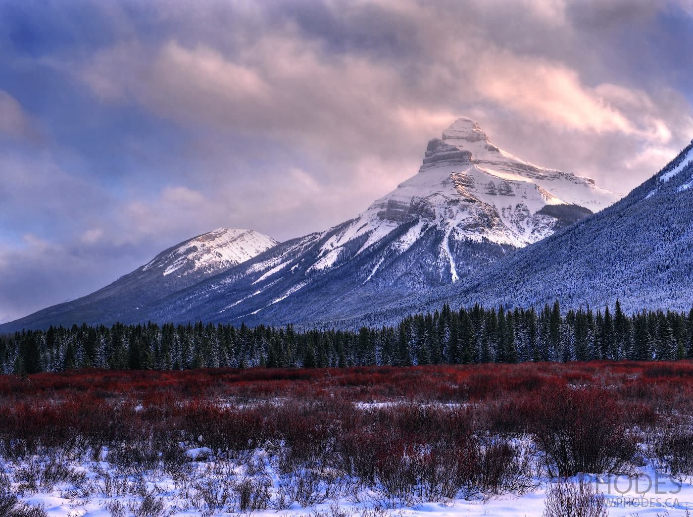 Landscape from Bow Valley Parkway in winter