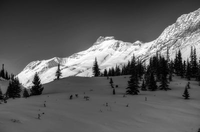 Rocky Mountains Winter Banff Monochrome