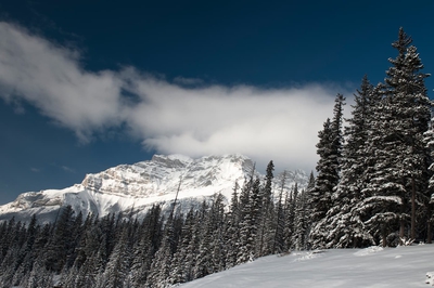 Winter Mountain Landscape Banff