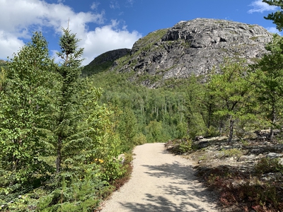 16 Hiking Trail Mont Du Lac Des Cygnes