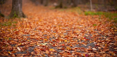 Autumn Canada 00008