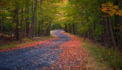 Autumn Canada 00010