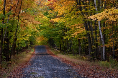 Autumn Canada 00014