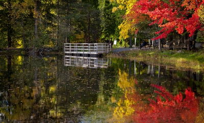 Autumn Canada 00015