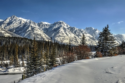 Mountains Trees On Sunny Days Winter Banff