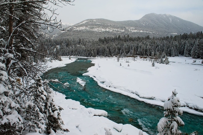 Nipika Mountain Resort Landscape