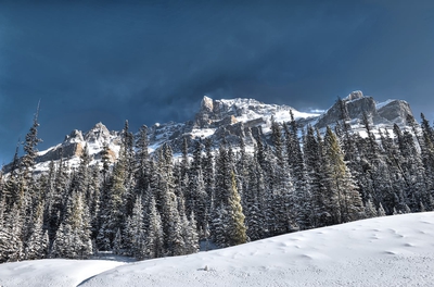 Sunny Landscape Winter Banff