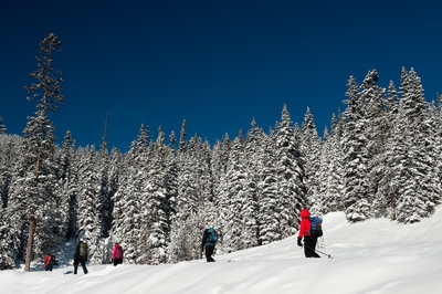 Travellers Around Lake Louise In Winter