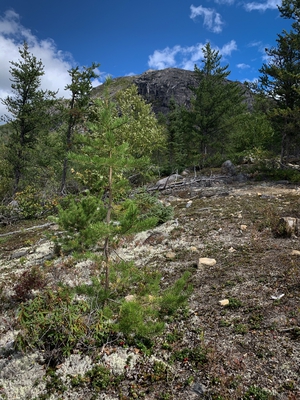 04 Hiking Trail Mont Du Lac Des Cygnes