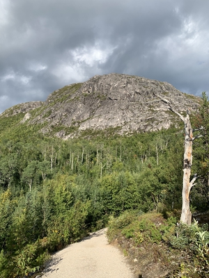 11 Hiking Trail Mont Du Lac Des Cygnes