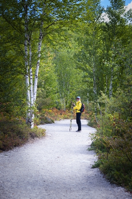 23 Hiking Trail Mont Du Lac Des Cygnes