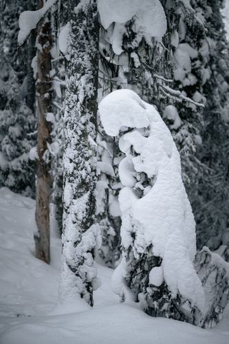  Lake Louise Winter 00004