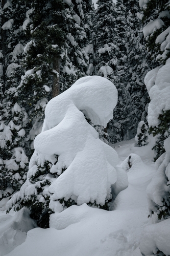  Lake Louise Winter 00009