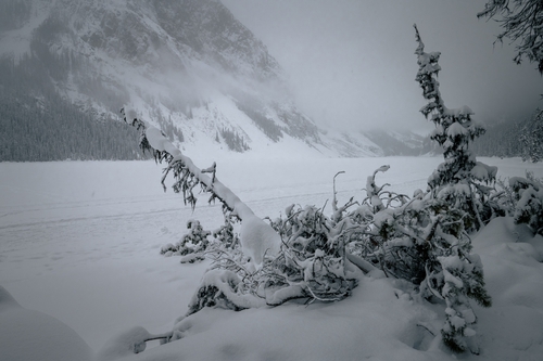  Lake Louise Winter 00012