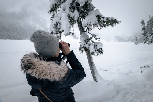  Lake Louise Winter 00013