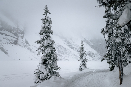  Lake Louise Winter 00018