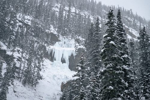  Lake Louise Winter 00020