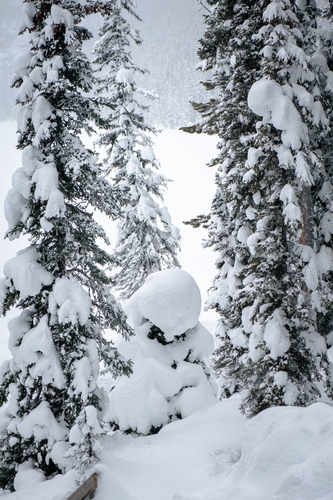  Lake Louise Winter 00026