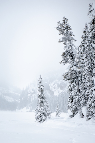  Lake Louise Winter 00027