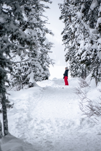  Lake Louise Winter 00033