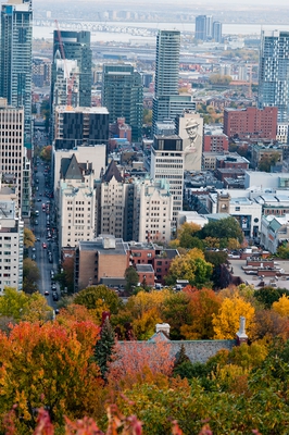 View Mount Royal Autumn Montreal